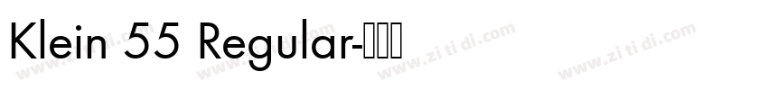 Klein 55 Regular字体转换